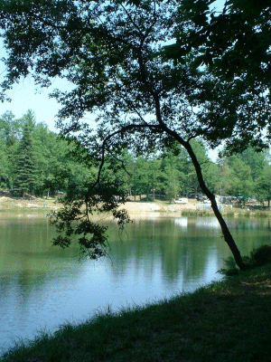 L'&eacute;tang de Nadine et Georges MACARY&nbsp; pour concours de p&ecirc;che &agrave; Conc&egrave;ze. Etang priv&eacute; de 1 ha pour la p&ecirc;che situ&eacute; a moins d'un km du g&icirc;te de Leycuras