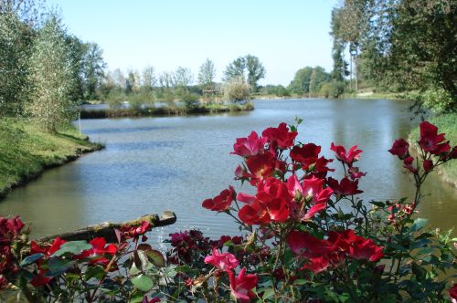 Etang privé de 1 ha pour la pêche situé a moins d'un km du gîte de Leycuras